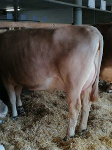 c666ba40-bf12-467e-a5b7-2f340725c7f3